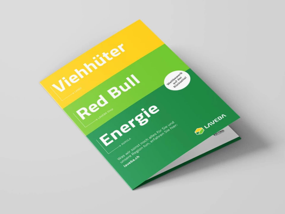 Kampagnen-Flyer der Laveba-Kampagne